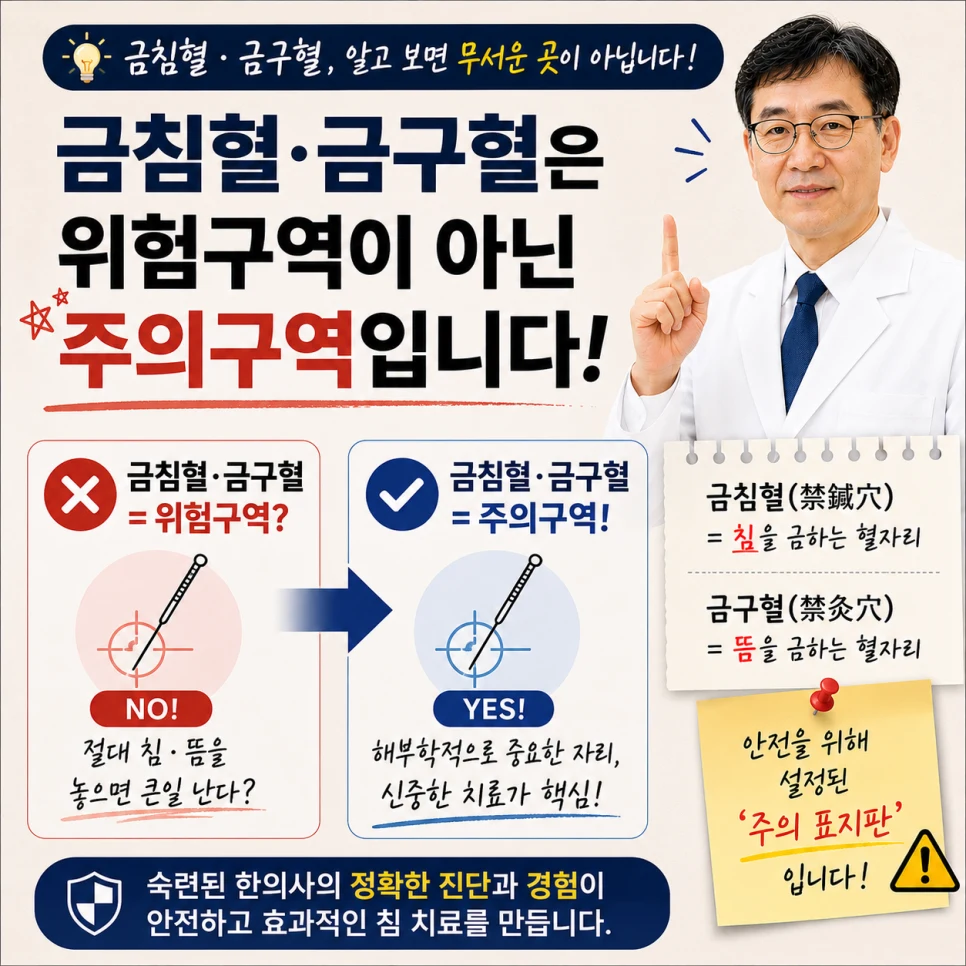 금침혈과 금구혈의 진짜 의미